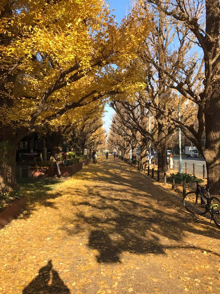 ロイヤルガーデンカフェ 、青山、テラス、カフェ