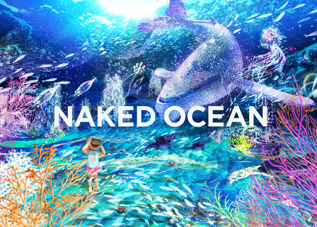 NAKED OCEAN