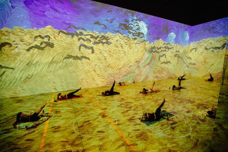 ゴッホ、Immersive Van Gogh、イマーシブヴァンゴッホ、ヨガ、没入型、エンタメ、芸術の秋、運動の秋