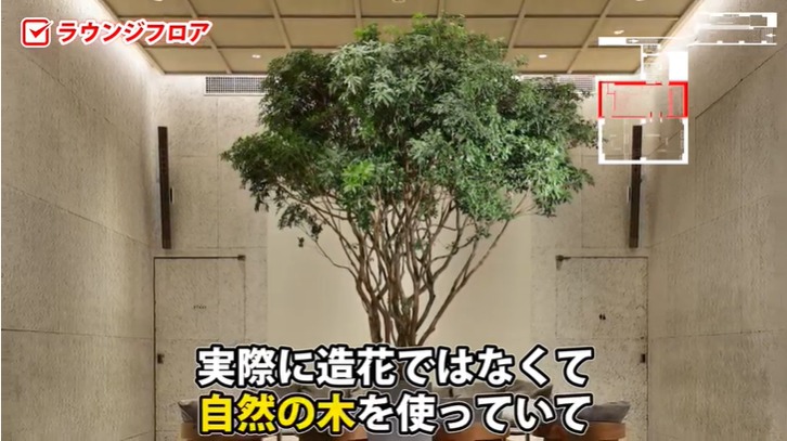 移動可能な木