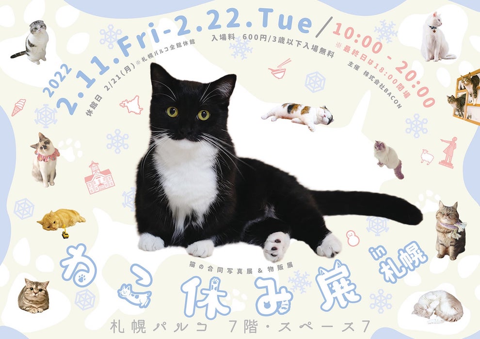 猫の日、2月22日、2/22