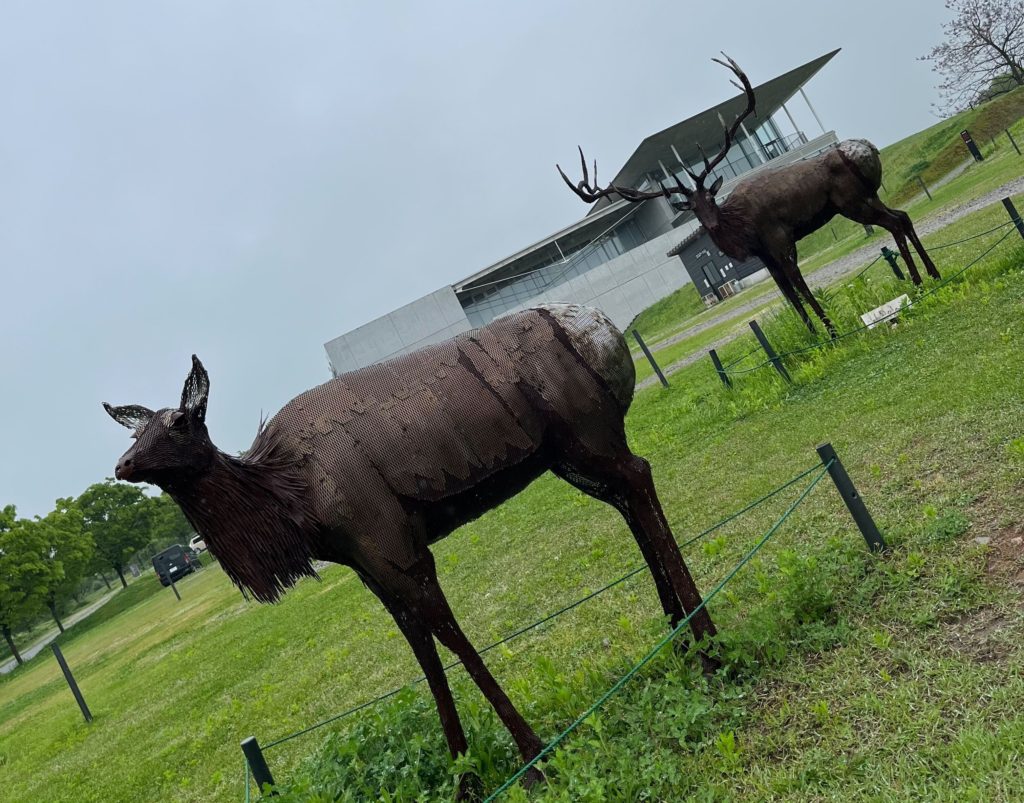 新潟 Snow Peak FIELD SUITE SPA HEADQUARTERS 動物 鹿