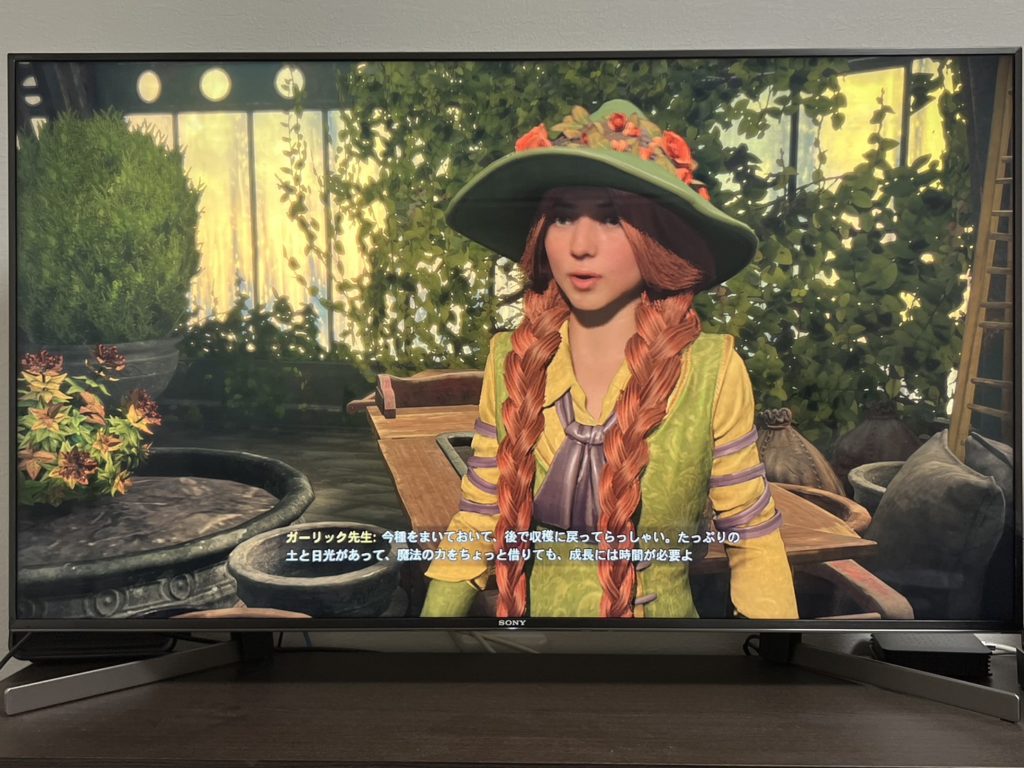 ホグワーツレガシー ゲーム プレステ プレイステーション PlayStation hogwartslegacy ハリーポッター