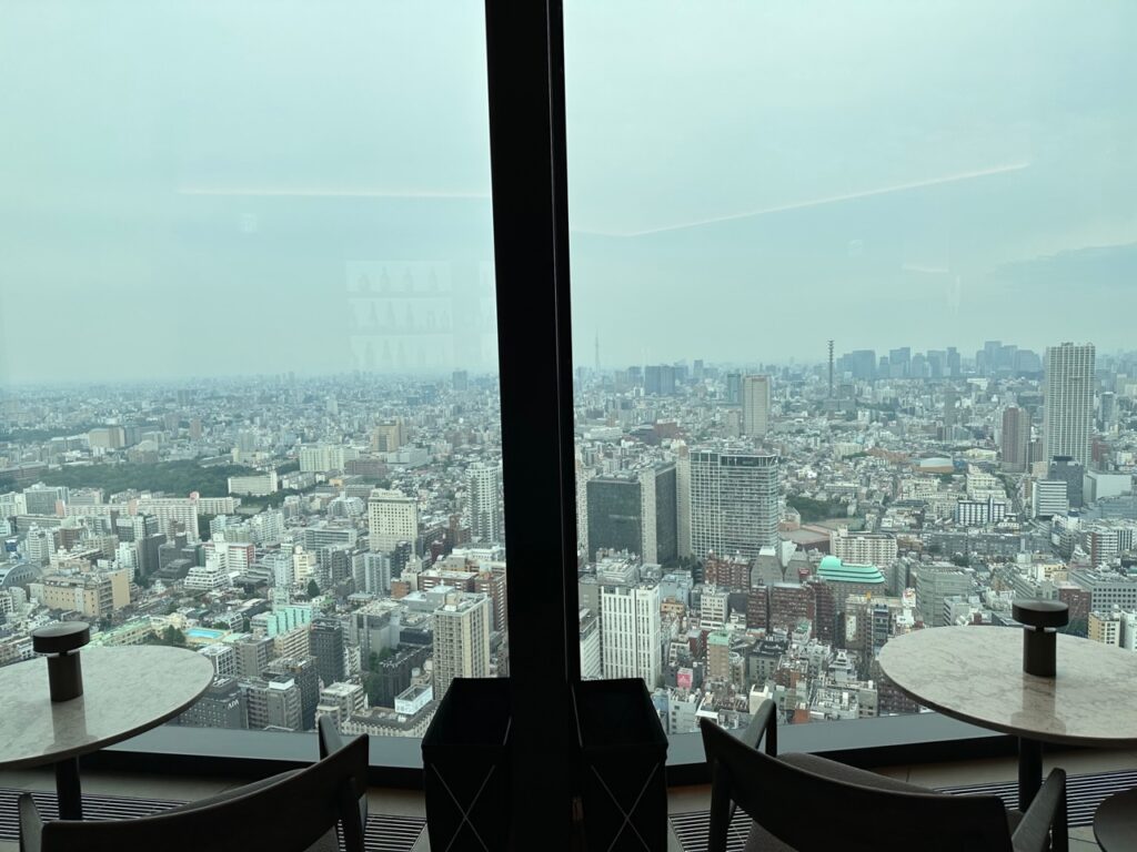 東急歌舞伎町タワー 新宿 ホテル ベルスター BELLUSTAR バー 景色